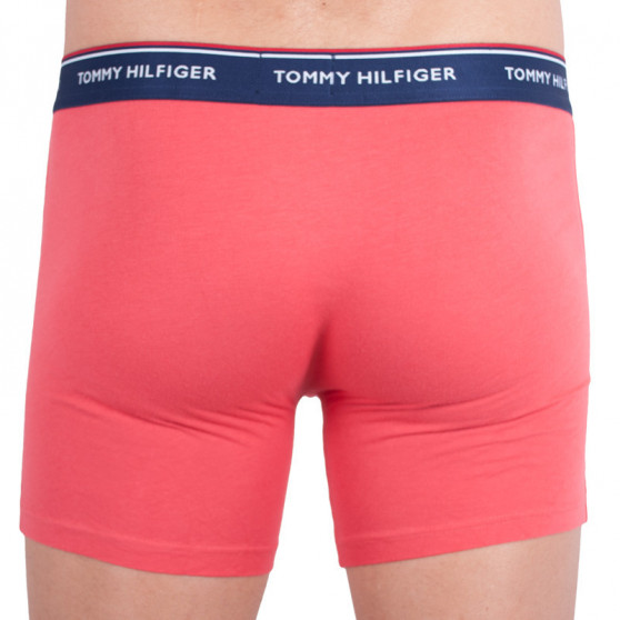 3PACK pánske boxerky Tommy Hilfiger viacfarebné (UM0UM00010 639)