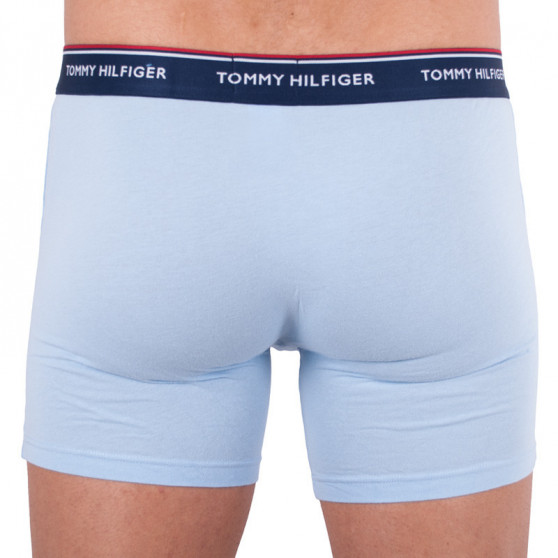 3PACK pánske boxerky Tommy Hilfiger viacfarebné (UM0UM00010 639)
