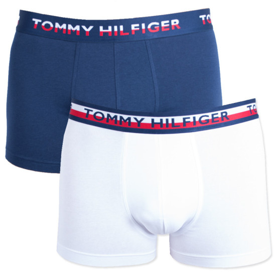 2PACK pánske boxerky Tommy Hilfiger viacfarebné (UM0UM00746 222)