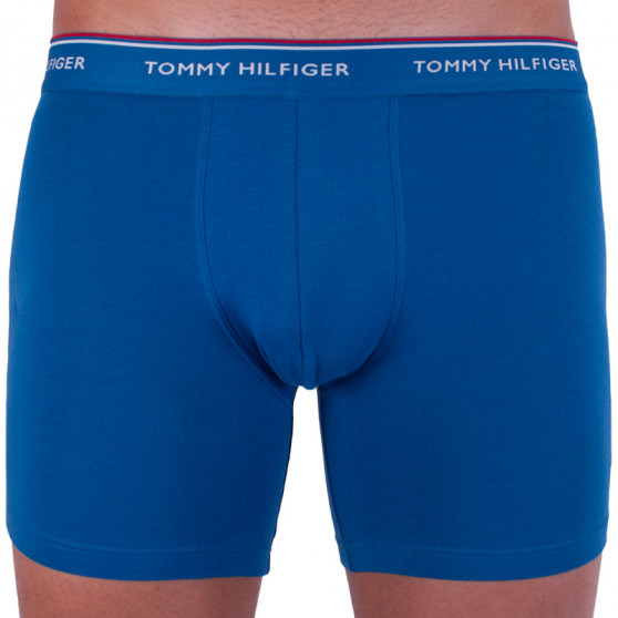 3PACK pánske boxerky Tommy Hilfiger viacfarebné (UM0UM00010 071)