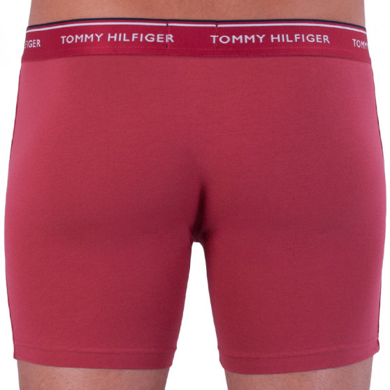 3PACK pánske boxerky Tommy Hilfiger viacfarebné (UM0UM00010 071)