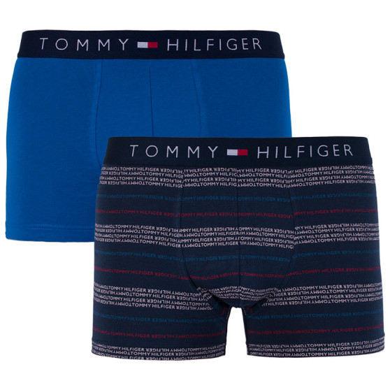 2PACK pánske boxerky Tommy Hilfiger viacfarebné (UM0UM00945 047)