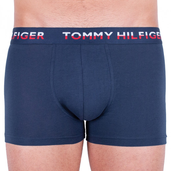 2PACK pánske boxerky Tommy Hilfiger viacfarebné (UM0UM01233 054)