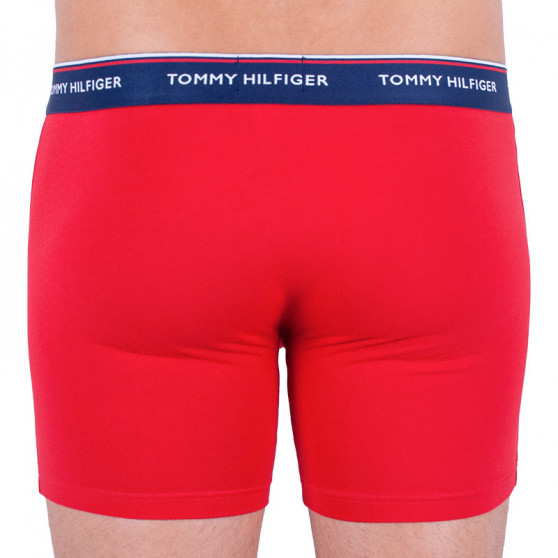 3PACK pánske boxerky Tommy Hilfiger viacfarebné (UM0UM00010 052)