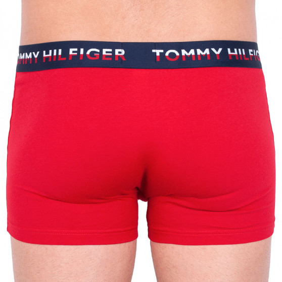2PACK pánske boxerky Tommy Hilfiger viacfarebné (UM0UM01233 061)
