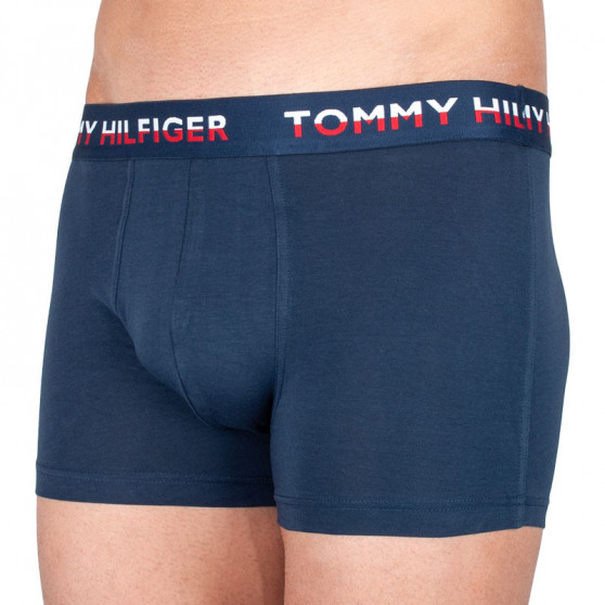 2PACK pánske boxerky Tommy Hilfiger viacfarebné (UM0UM01233 064)