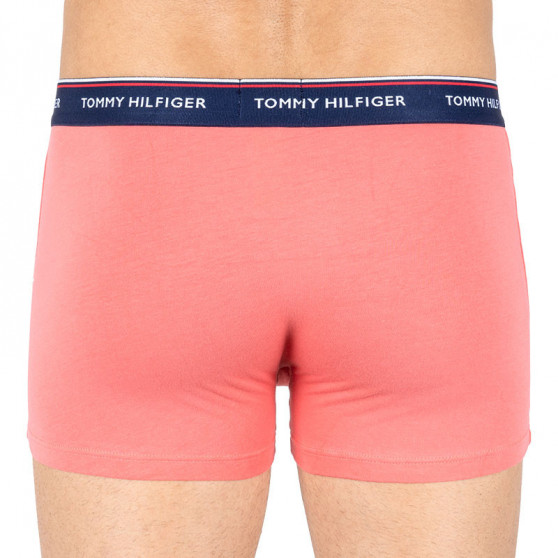 3PACK pánske boxerky Tommy Hilfiger viacfarebné (1U87903842 041)