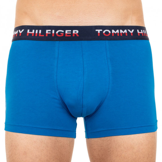2PACK pánske boxerky Tommy Hilfiger viacfarebné (UM0UM01233 014)