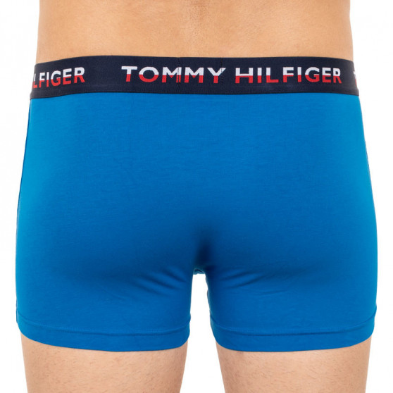 2PACK pánske boxerky Tommy Hilfiger viacfarebné (UM0UM01233 014)