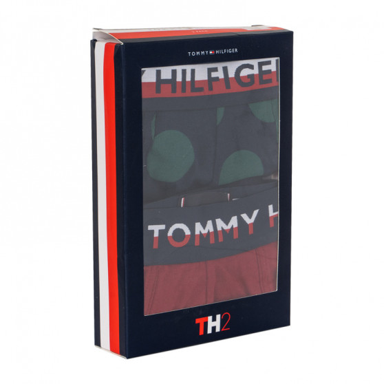 2PACK pánske boxerky Tommy Hilfiger viacfarebné (UM0UM01233 582)