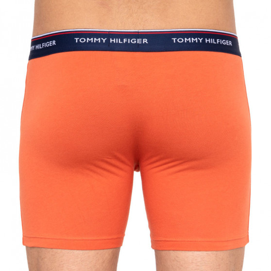 3PACK pánske boxerky Tommy Hilfiger viacfarebné (1U87903842 005)