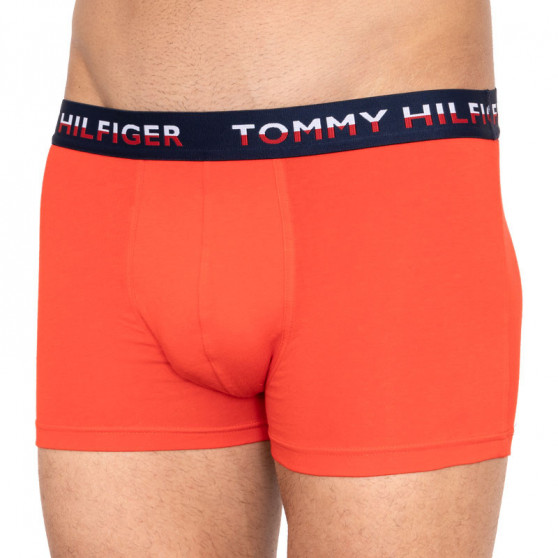 2PACK pánske boxerky Tommy Hilfiger viacfarebné (UM0UM01233 021)
