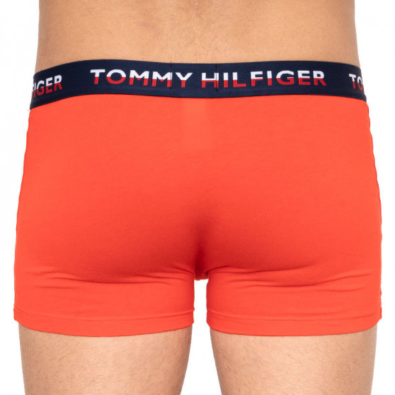 2PACK pánske boxerky Tommy Hilfiger viacfarebné (UM0UM01233 021)