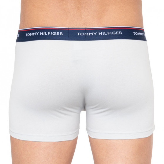 3PACK pánske boxerky Tommy Hilfiger viacfarebné (1U87903842 0XM)