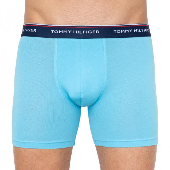 3PACK pánske boxerky Tommy Hilfiger viacfarebné (UM0UM00010 0XN)