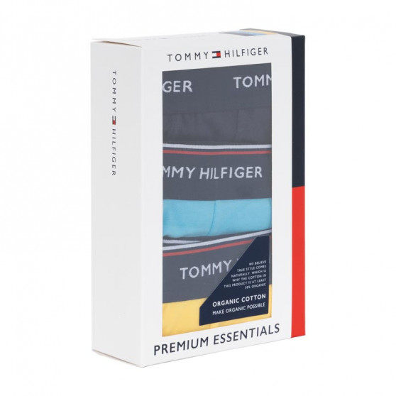 3PACK pánske boxerky Tommy Hilfiger viacfarebné (UM0UM00010 0XN)