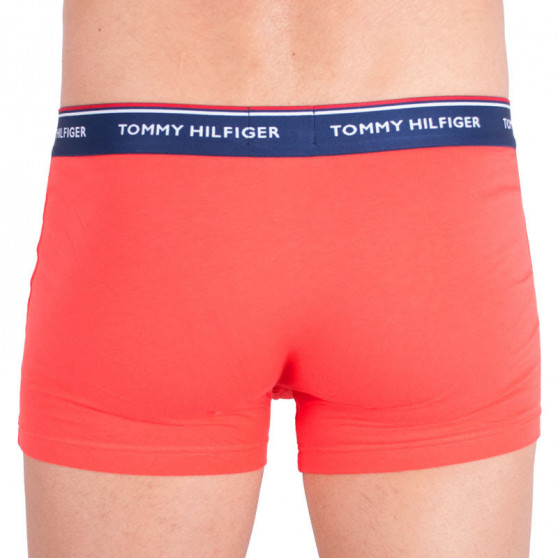 3PACK pánske boxerky Tommy Hilfiger viacfarebné (1U87903842 0WK)