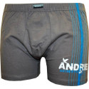 Pánske boxerky Andrie nadrozměr svetlohnedé (PS 5048 A)