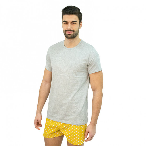 3PACK pánske tričko Calvin Klein viacfarebné (NB4011E-MP1)