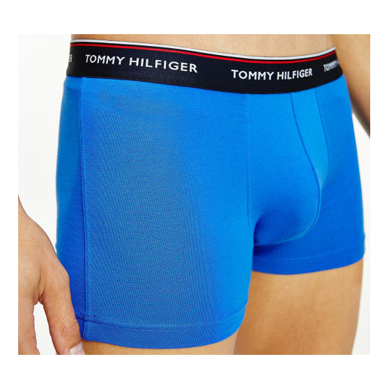 3PACK pánske boxerky Tommy Hilfiger viacfarebné (1U87903842 0T1)