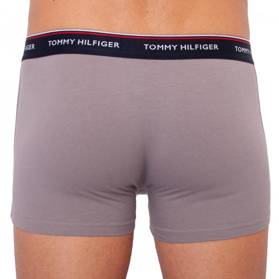 3PACK pánske boxerky Tommy Hilfiger viacfarebné (1U87903842 0TW)