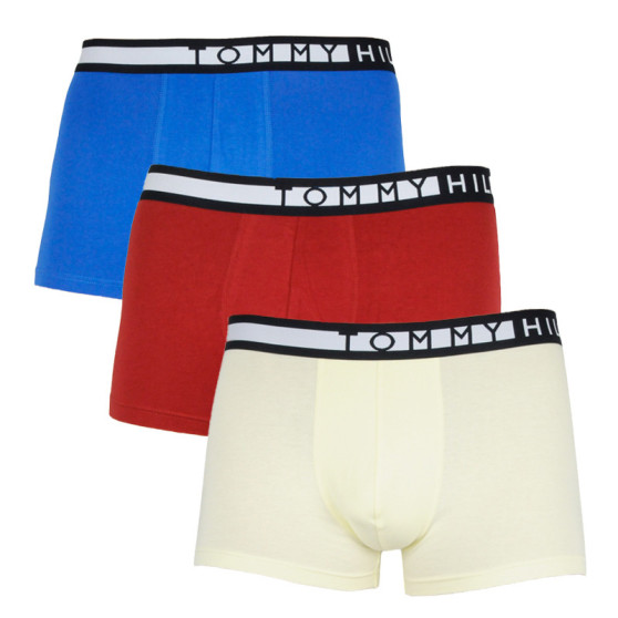 3PACK pánske boxerky Tommy Hilfiger viacfarebné (UM0UM02202 0W8)