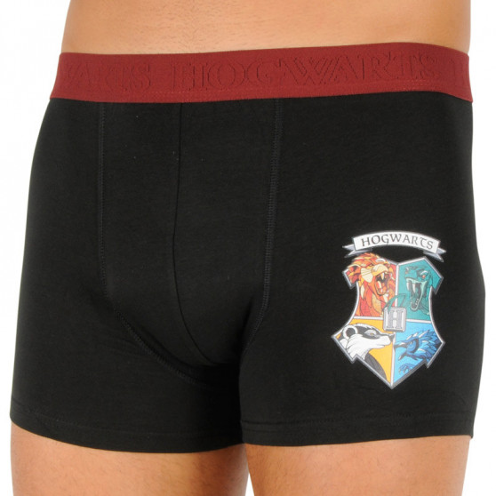 2PACK pánske boxerky Cerdá Harry Potter viacfarebné (2200007437)