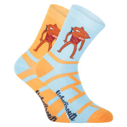 Dětské ponožky Boma vícebarevné (Lichožrouti-Rezek)