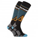Ponožky Horsefeathers Arlo viacfarebné (AM131B)