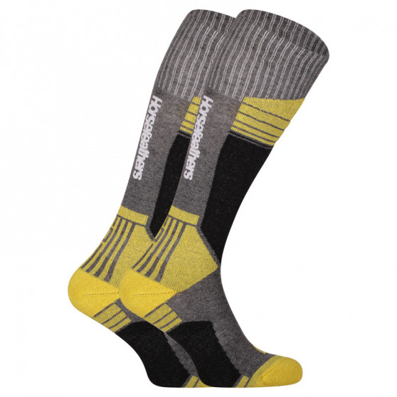 Ponožky Horsefeathers Arlo viacfarebné (AM130A)