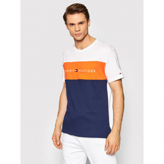 Pánske tričko Tommy Hilfiger viacfarebné (UM0UM01170 SNB)