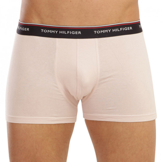 3PACK pánske boxerky Tommy Hilfiger viacfarebné (1U87903842 0V1)