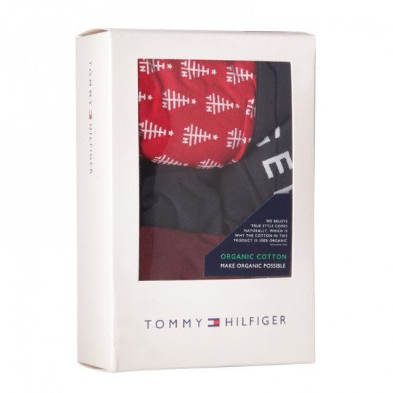 3PACK pánske boxerky Tommy Hilfiger viacfarebné (UM0UM01565 0RW)