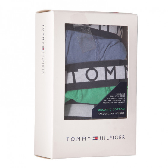 3PACK pánske boxerky Tommy Hilfiger viacfarebné (UM0UM02202 0RX)