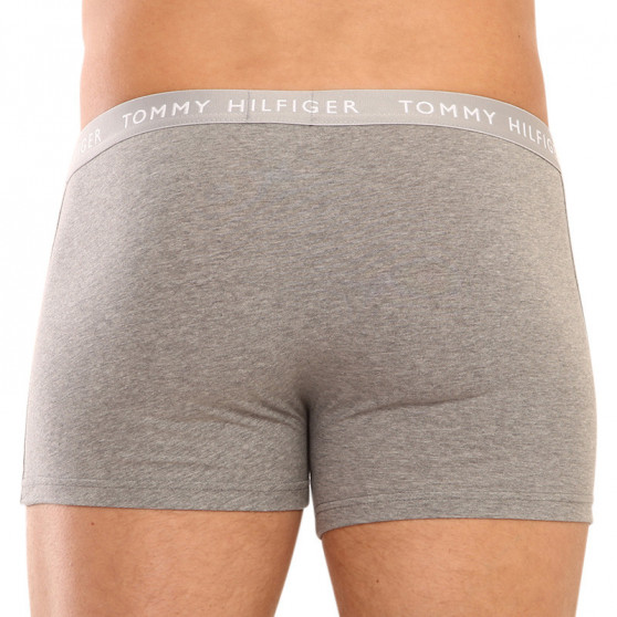 3PACK pánske boxerky Tommy Hilfiger viacfarebné (UM0UM02325 0AH)