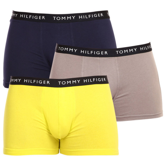 3PACK pánske boxerky Tommy Hilfiger viacfarebné (UM0UM02203 0S1)