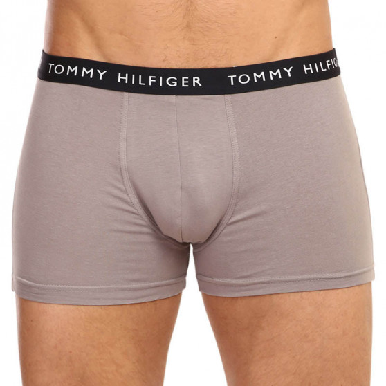 3PACK pánske boxerky Tommy Hilfiger viacfarebné (UM0UM02203 0S1)