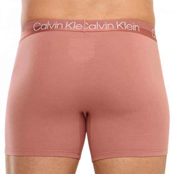 3PACK pánske boxerky Calvin Klein viacfarebné (NB2971A-1RM)