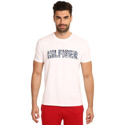 Pánske tričko Tommy Hilfiger viacfarebné (UM0UM02436 YBR)