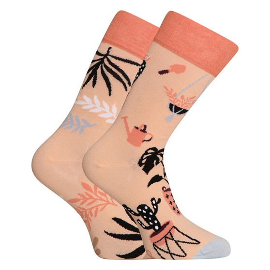 Veselé ponožky Dedoles Izbové rastliny (GMRS233)