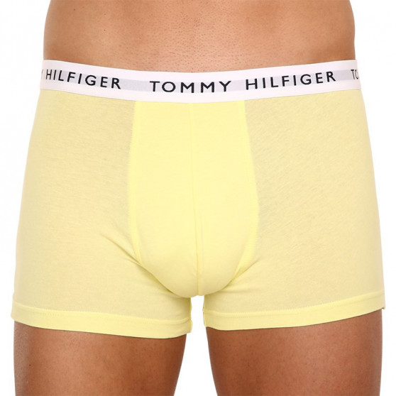 3PACK pánske boxerky Tommy Hilfiger viacfarebné (UM0UM02203 0TK)
