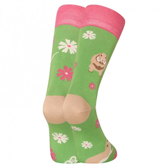 Veselé bambusové ponožky Dedoles Sysel´ (D-U-SC-RS-C-B-1555)