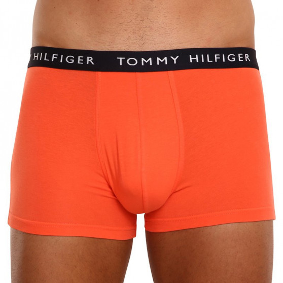 3PACK pánske boxerky Tommy Hilfiger viacfarebné (UM0UM02203 0TL)