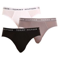 3PACK pánske slipy Tommy Hilfiger viacfarebné (UM0UM02206 0TG)