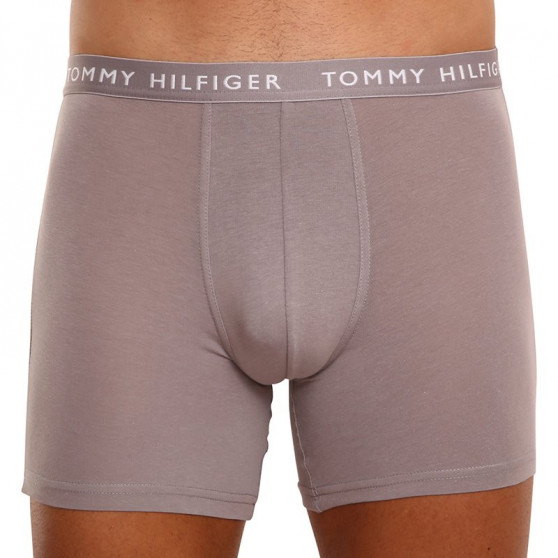 3PACK pánske boxerky Tommy Hilfiger viacfarebné (UM0UM02204 0TG)