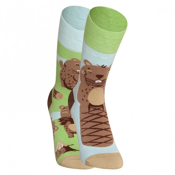 Veselé ponožky Dedoles Bobor (D-U-SC-RS-C-C-1458)
