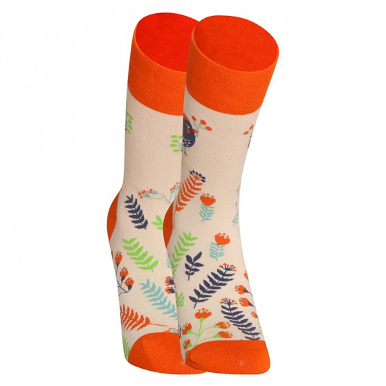 Veselé ponožky Dedoles Roztomilé vtáčiky (D-U-SC-RS-C-C-1569)