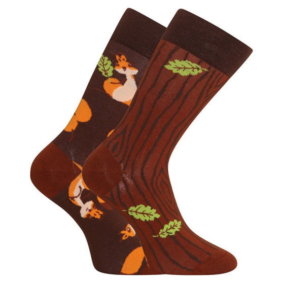 Veselé ponožky Dedoles Veveričky (GMRS141)
