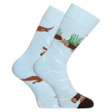Veselé ponožky Dedoles Vydry (GMRS167)