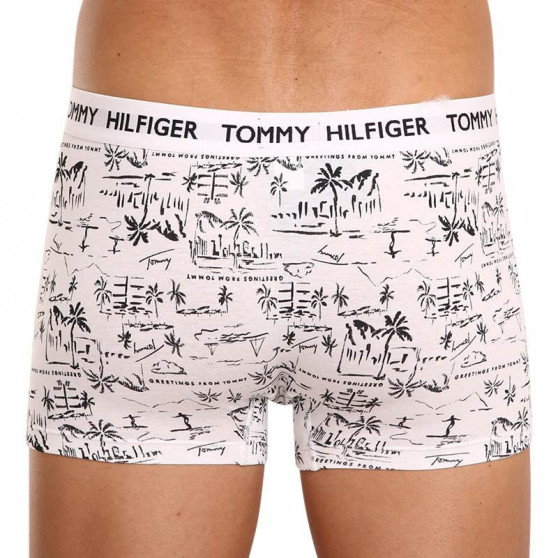 Pánske boxerky Tommy Hilfiger viacfarebné (UM0UM01832 0GA